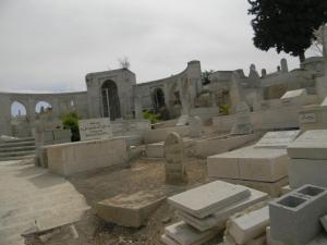 I managed to sneak up on Calvary early one morning while the caretaker was away and saw this scene!