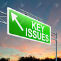 key issues